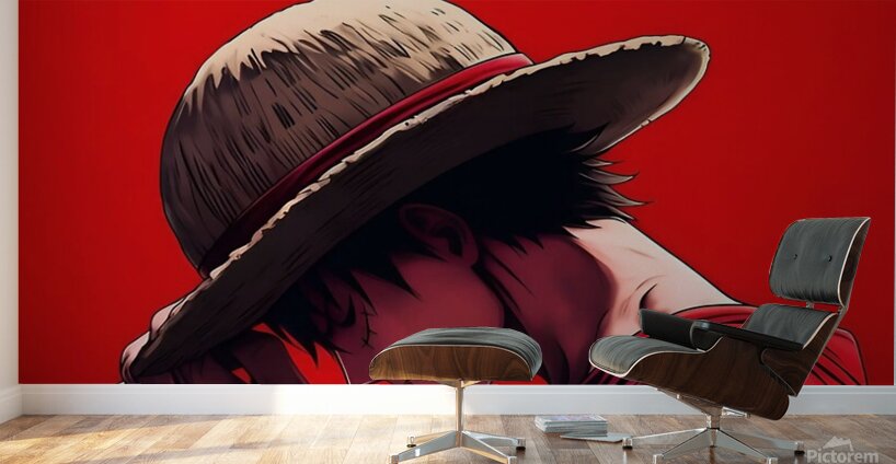 One piece  Wall Murals