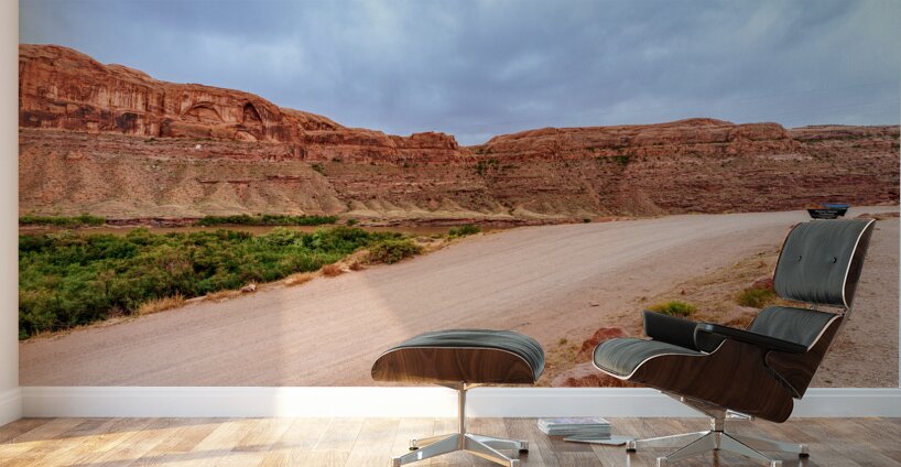 Poison Spider Trail View Wall Murals