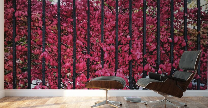 Burning Bush Behind Bars Impression murale