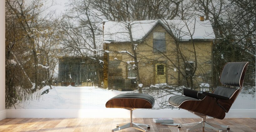 Yellow House Where Leroy Lived Wall Murals