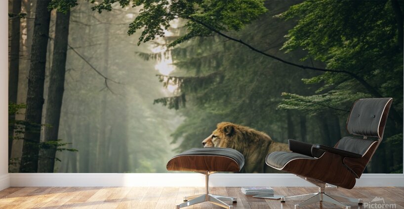               3Majestic Lion in the Enchanted Forest Wall Murals
