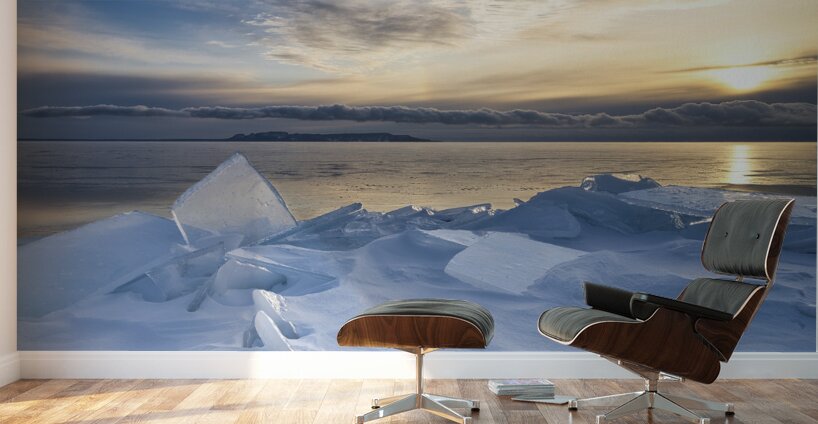 Ice and Snow Wall Murals