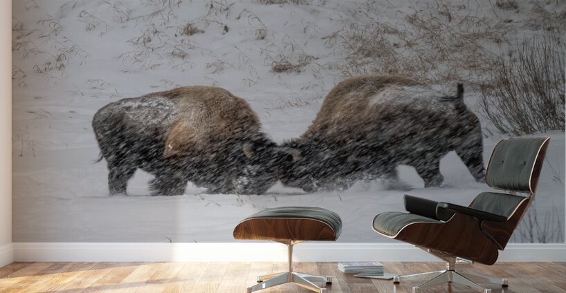 DAV 0270 Wall Murals