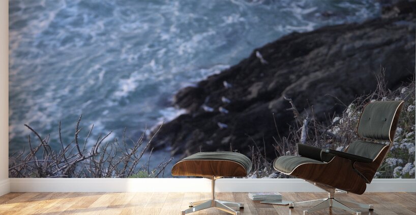 DSCN6820 Wall Murals