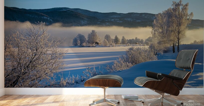 Norway Fresh Snow Wall Murals