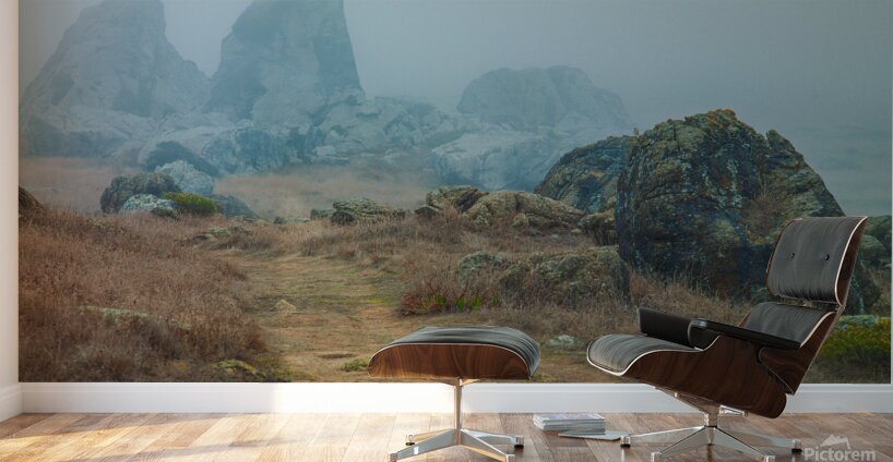 Gull Rock Wall Murals