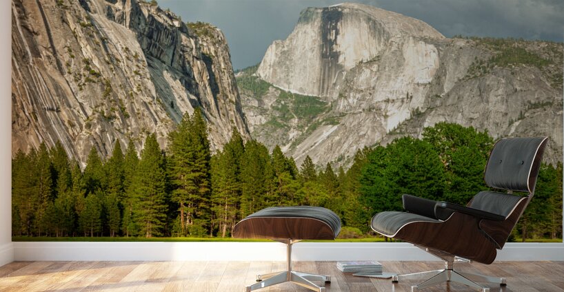 Yosemite Wall Murals