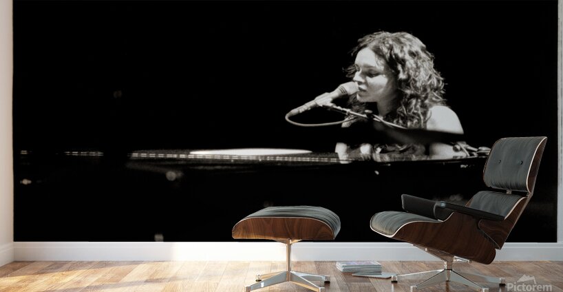Norah Jones Sedona Wall Murals