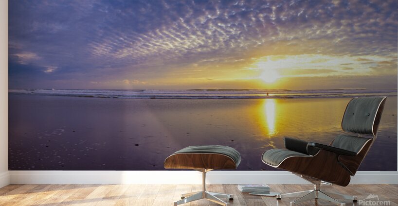 Santa Teresa Costa Rica Wall Murals