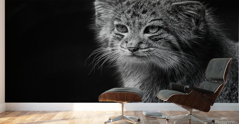 A Symphony of Grace and Charm Wall Murals