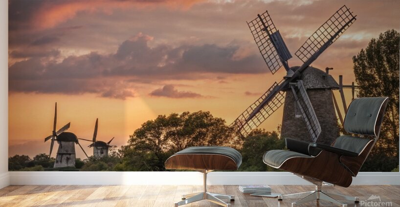 Whispers of the Wind Wall Murals