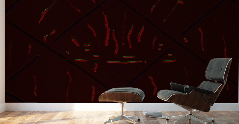 image 811 Wall Murals