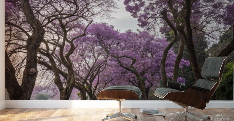                                   2Purple Blossom Pathway Wall Murals