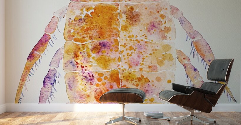 Chromatic Crustacean JH92N3 45 Wall Murals