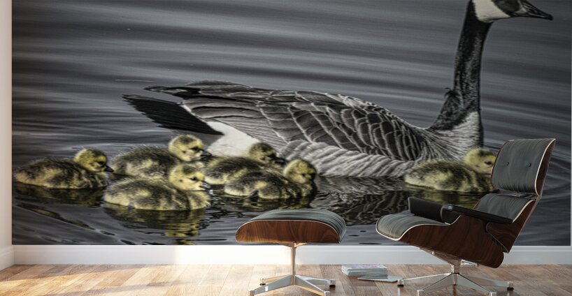 FS240422 GOOSE MOTHER AND KIDS Wall Murals