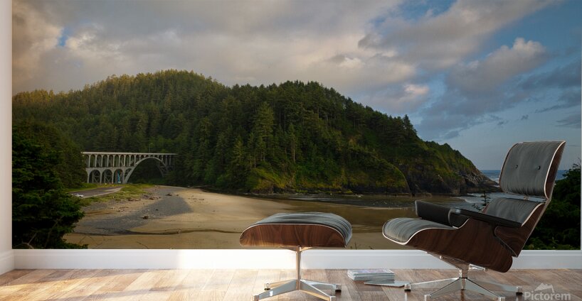 Haceta Beach Overlook Wall Murals