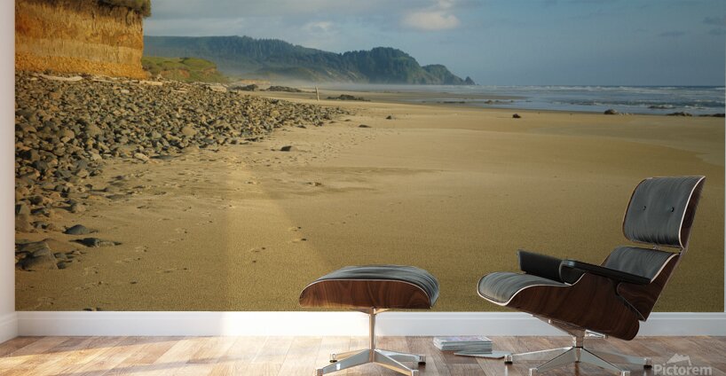 Walk the Oregon Beachscape Wall Murals
