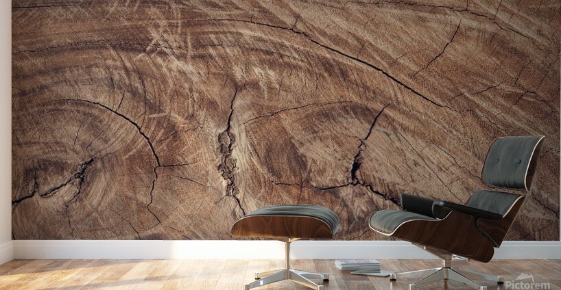 Wood wall Wall Murals