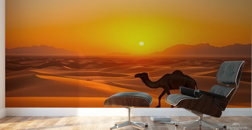  Camel walking on the sand Wall Murals