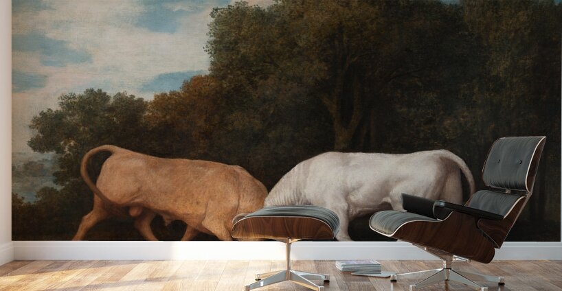 Bulls Fighting [1786] by George Stubbs [1724–1806] Wall Murals