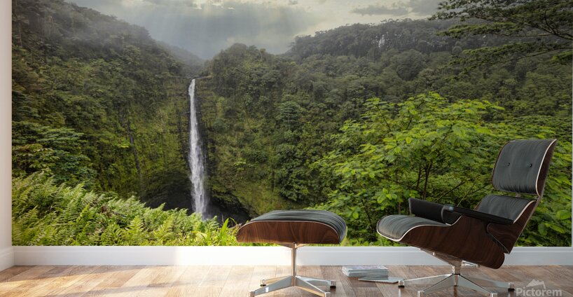 Akaka Magic. Wall Murals