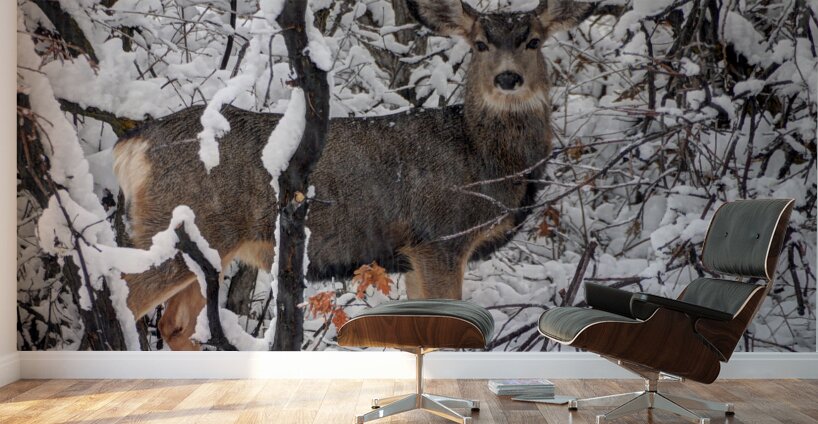 Winter Deer in Snow - Wasatch Benches - Salt Lake Wall Murals