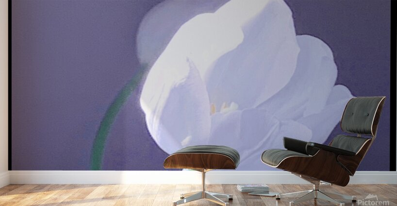 IMG 9929 Wall Murals