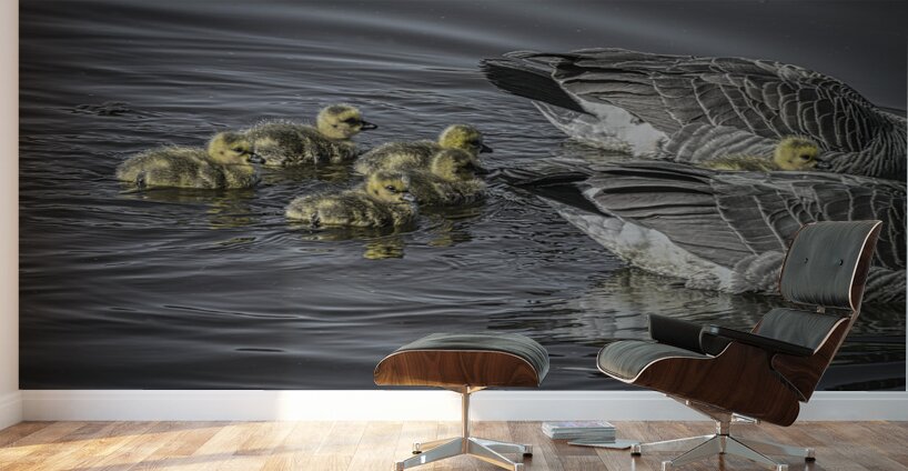 FS240422 GEESE FAMILY Wall Murals