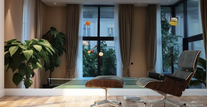  table tennis bu  Wall Murals