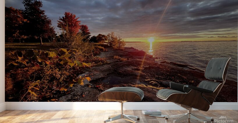 20241009 072349 Wall Murals