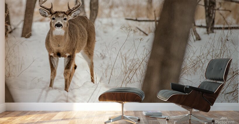 Stand Off 6D25 5708 Wall Murals