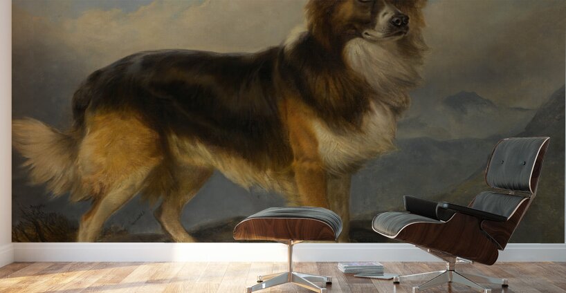 Sammie [1877] by Richard Ansdell [1815–1885] Wall Murals