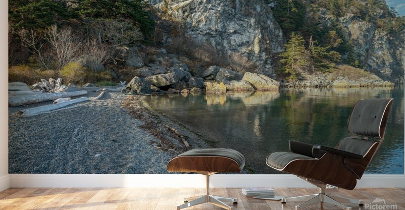 Rock formations and driftwood line the shore of Watmough Bay on  Lopez Island Washington USA Wall Murals