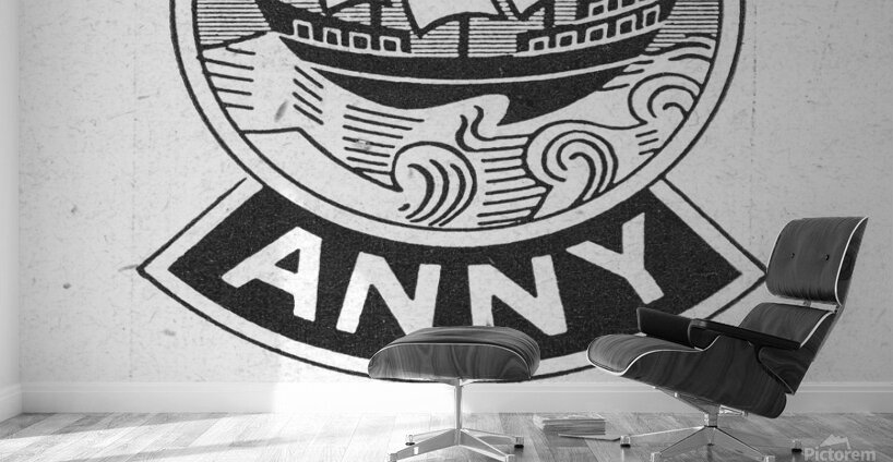 French anny Wall Murals