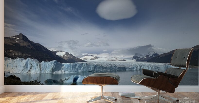 Patagonia Wall Murals