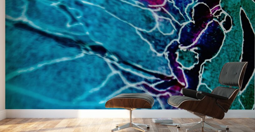 Iconique  Wall Murals