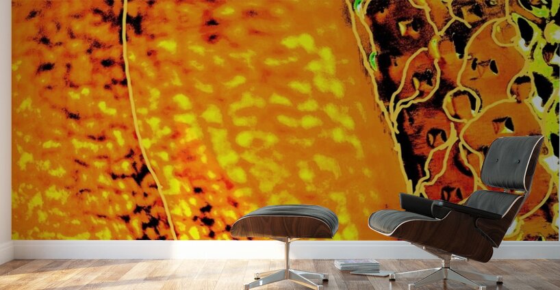 Abandon  Wall Murals