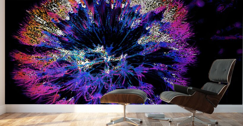 Abstract Neon Dandelion Head Wall Murals