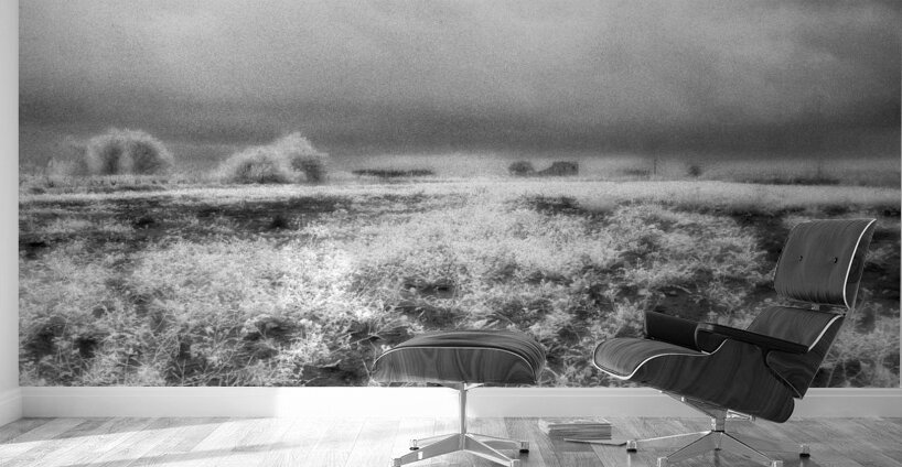 Barn In Field Infrared Wall Murals