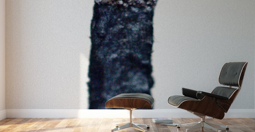 Burned III Wall Murals