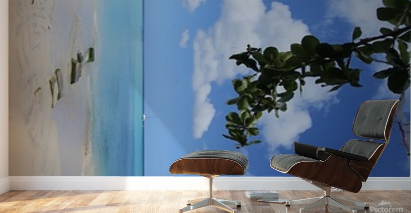 20250215 120515 Wall Murals