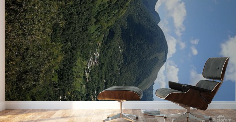 20241208 095243 Wall Murals