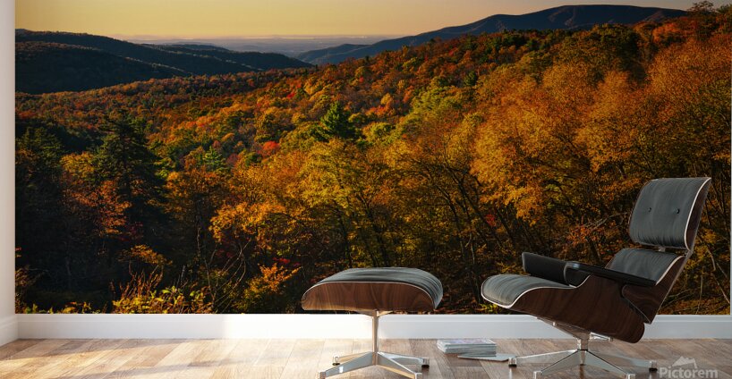 Autumn Hill Wall Murals