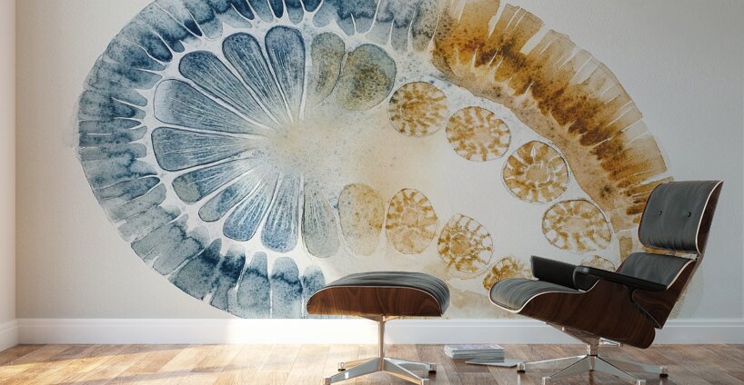 Cellular Harmony 9P3N2H 47 Wall Murals