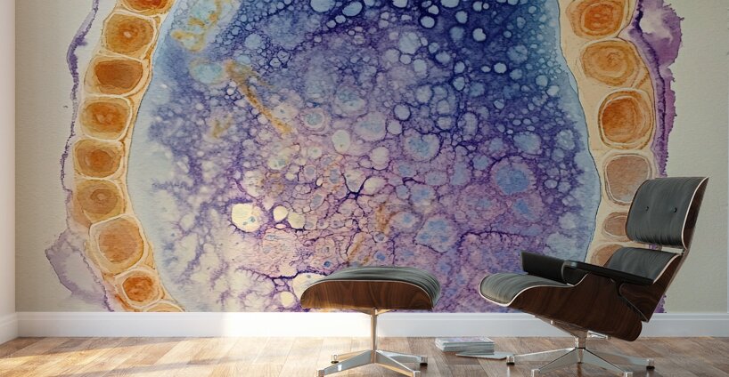 Cellular Harmony H9P4N2 48 Wall Murals