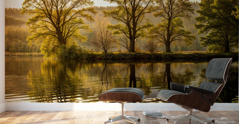 Reflection Of Trees In A Lake Wall Murals