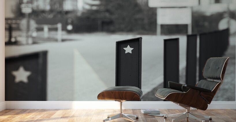 1L1A8766 Wall Murals