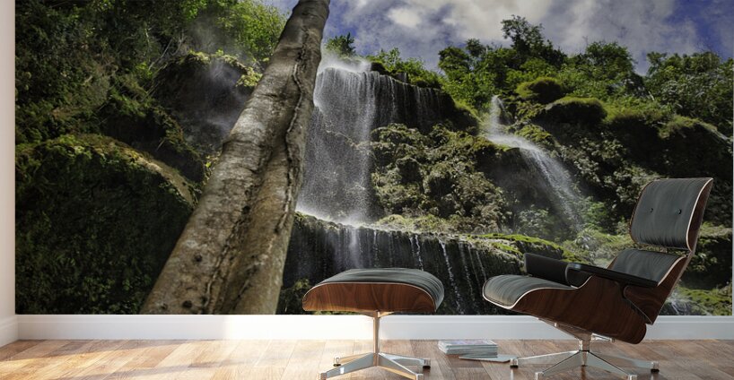 Vertical Horizon – Waterfall Canopy Cebu Philippines Wall Murals