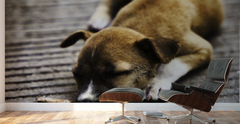 Resting Innocence – Cebu Philippines Wall Murals