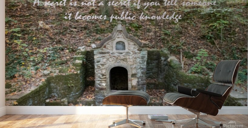 A Secret Wall Murals